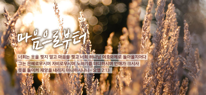 11월 마음으로부터